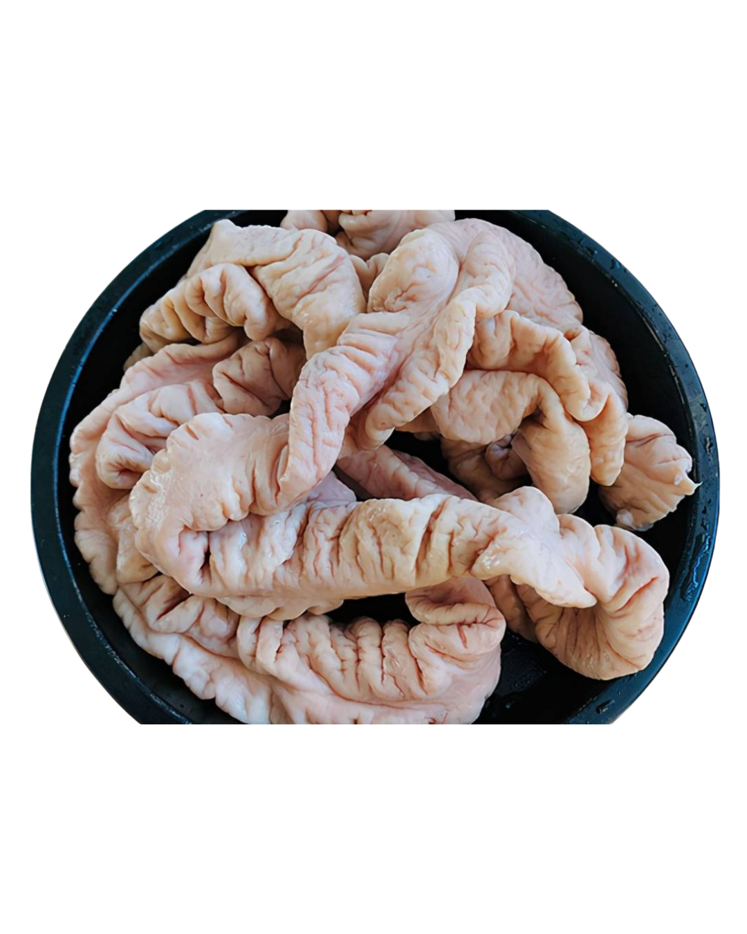 Large & Small Intestines (大小肠)