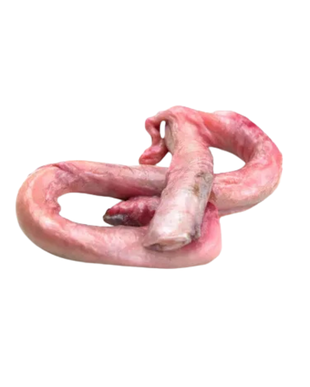 Bull Pizzle (牛鞭)